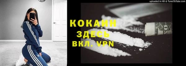 ГАЛЛЮЦИНОГЕННЫЕ ГРИБЫ Арсеньев