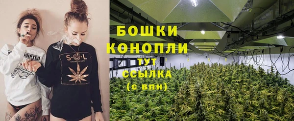 ГАЛЛЮЦИНОГЕННЫЕ ГРИБЫ Арсеньев