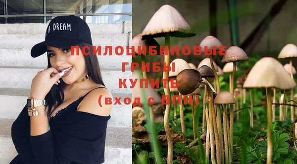 ГАЛЛЮЦИНОГЕННЫЕ ГРИБЫ Арсеньев