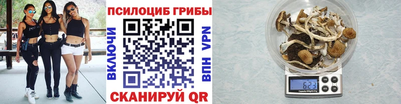 blacksprut ССЫЛКА  что такое наркотик  Сельцо  Галлюциногенные грибы мицелий 