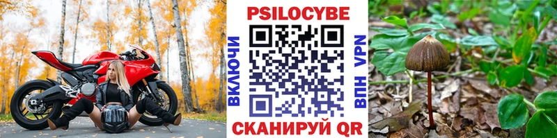 Галлюциногенные грибы Cubensis Сельцо
